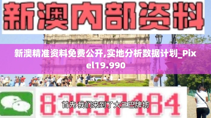 新澳精准资料免费公开,实地分析数据计划_Pixel19.990