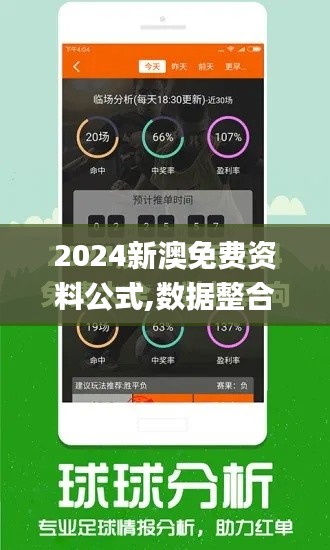 2024新澳免费资料公式,数据整合执行策略_安卓9.800