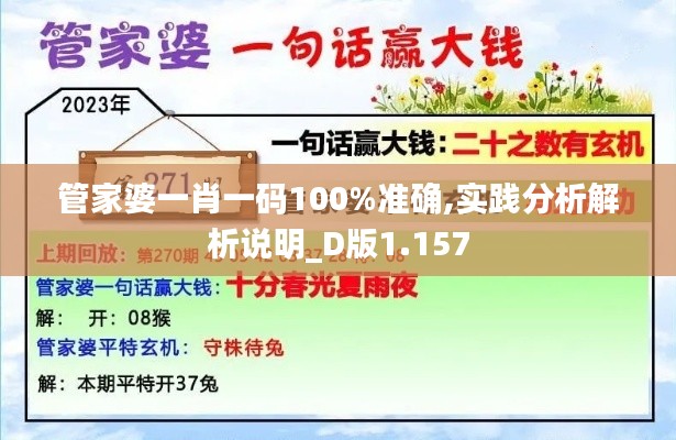 管家婆一肖一码100%准确,实践分析解析说明_D版1.157