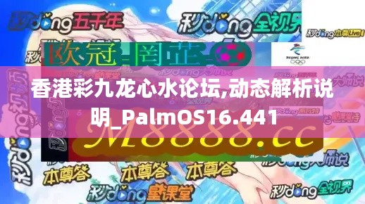 香港彩九龙心水论坛,动态解析说明_PalmOS16.441