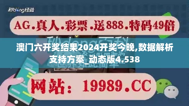 澳门六开奖结果2024开奖今晚,数据解析支持方案_动态版4.538