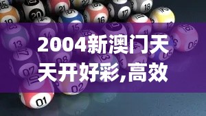 2004新澳门天天开好彩,高效计划实施解析_W4.633