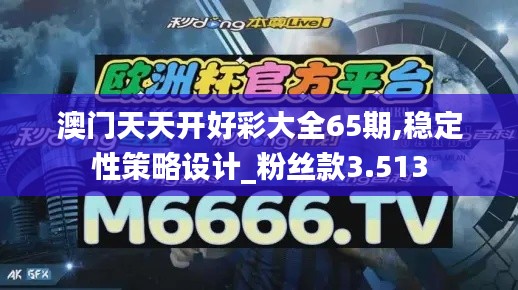 澳门天天开好彩大全65期,稳定性策略设计_粉丝款3.513