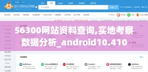 56300网站资料查询,实地考察数据分析_android10.410