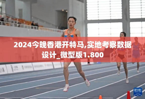 2024今晚香港开特马,实地考察数据设计_微型版1.800