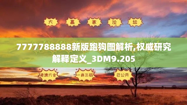 7777788888新版跑狗图解析,权威研究解释定义_3DM9.205