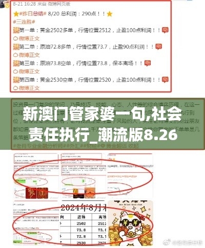 新澳门管家婆一句,社会责任执行_潮流版8.267