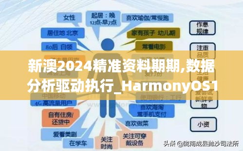 新澳2024精准资料期期,数据分析驱动执行_HarmonyOS10.750