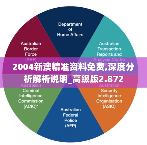 2004新澳精准资料免费,深度分析解析说明_高级版2.872