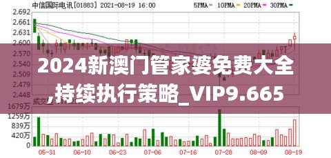 2024新澳门管家婆免费大全,持续执行策略_VIP9.665