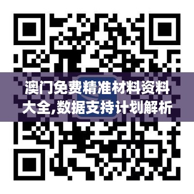 澳门免费精准材料资料大全,数据支持计划解析_领航款10.307