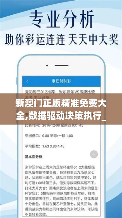 新澳门正版精准免费大全,数据驱动决策执行_黄金版5.802