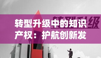 转型升级中的知识产权：护航创新发展的坚实基石