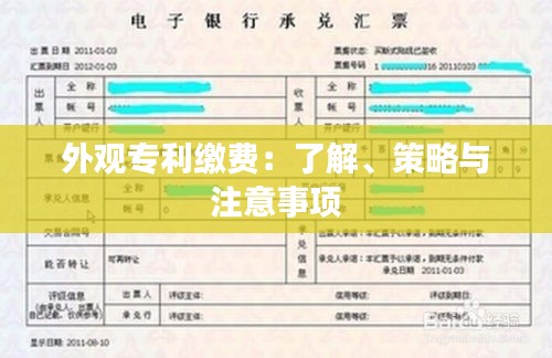 外观专利缴费：了解、策略与注意事项