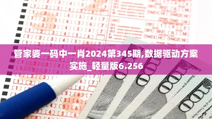 管家婆一码中一肖2024第345期,数据驱动方案实施_轻量版6.256