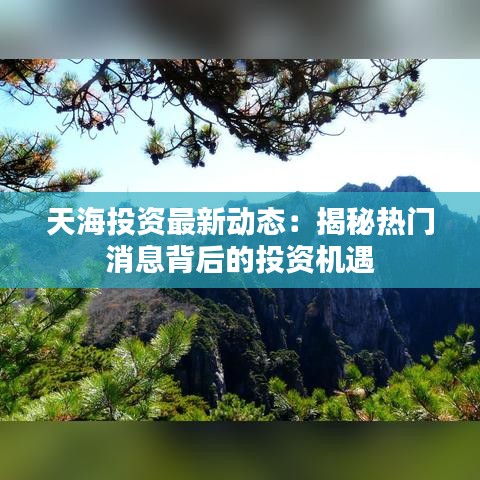 天海投资最新动态：揭秘热门消息背后的投资机遇