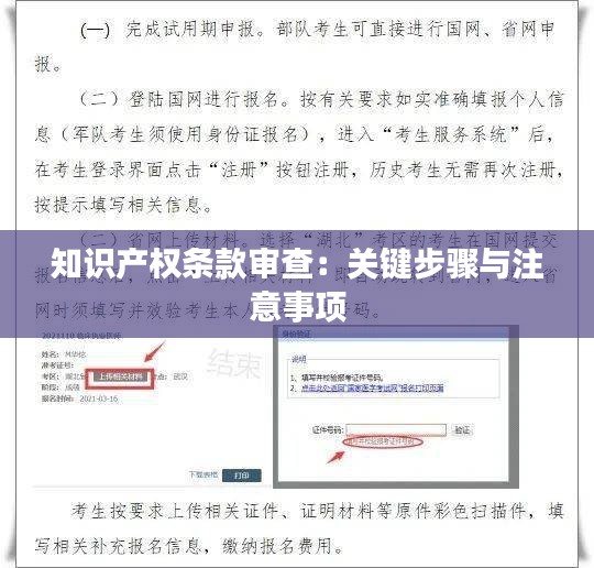 知识产权条款审查：关键步骤与注意事项