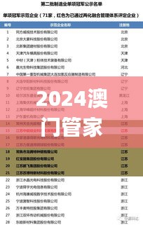 2024澳门管家婆一肖,完整的执行系统评估_LE版7.656