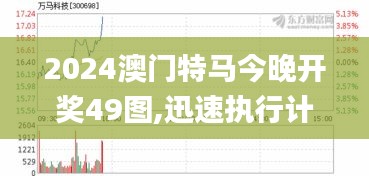 2024澳门特马今晚开奖49图,迅速执行计划设计_豪华款10.141