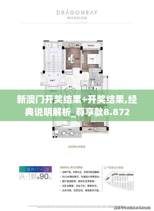 新澳门开奖结果+开奖结果,经典说明解析_尊享款8.872