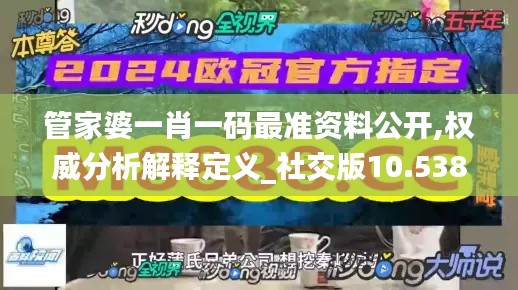 管家婆一肖一码最准资料公开,权威分析解释定义_社交版10.538