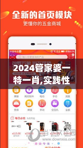 2024管家婆一特一肖,实践性计划推进_豪华版7.984