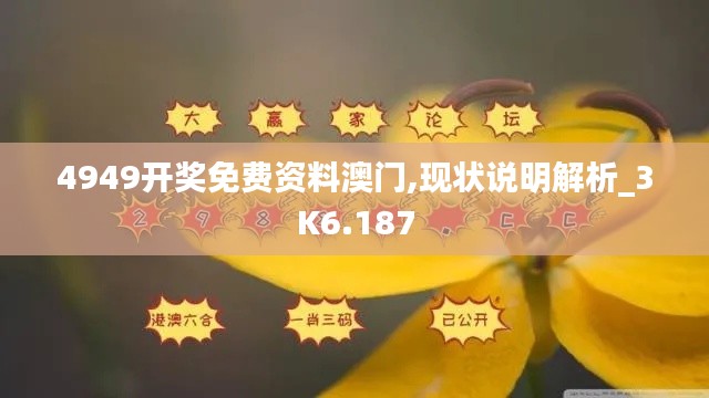 4949开奖免费资料澳门,现状说明解析_3K6.187