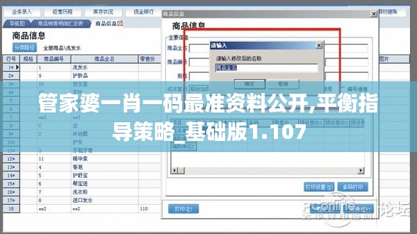 管家婆一肖一码最准资料公开,平衡指导策略_基础版1.107