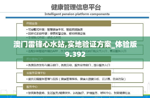 澳门雷锋心水站,实地验证方案_体验版9.392