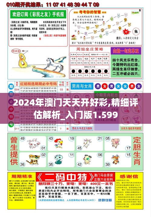 2024年澳门天天开好彩,精细评估解析_入门版1.599