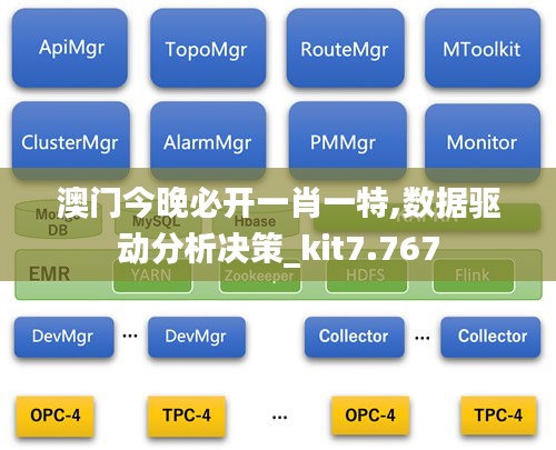 澳门今晚必开一肖一特,数据驱动分析决策_kit7.767