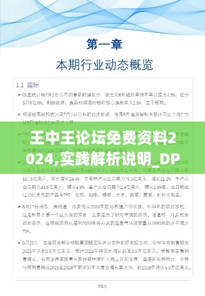 王中王论坛免费资料2024,实践解析说明_DP10.728