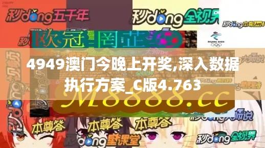 4949澳门今晚上开奖,深入数据执行方案_C版4.763