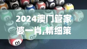 2024澳门管家婆一肖,精细策略分析_Holo1.717