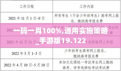 一码一肖100%,适用实施策略_手游版19.122