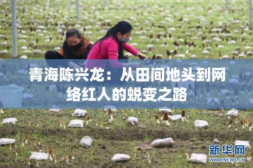 青海陈兴龙：从田间地头到网络红人的蜕变之路