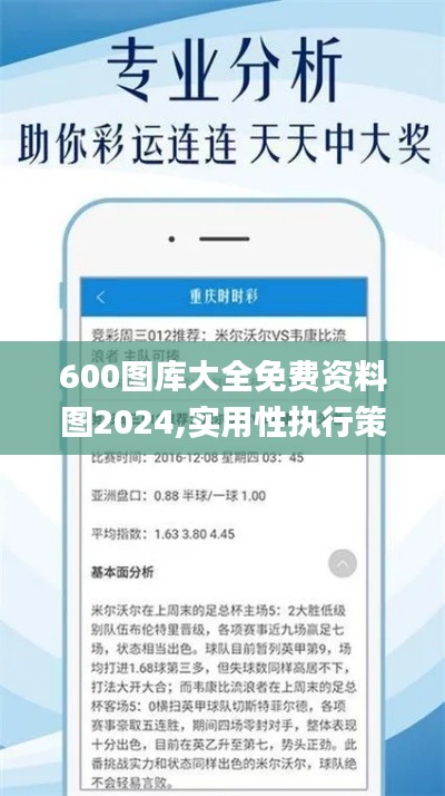 600图库大全免费资料图2024,实用性执行策略讲解_PalmOS2.878