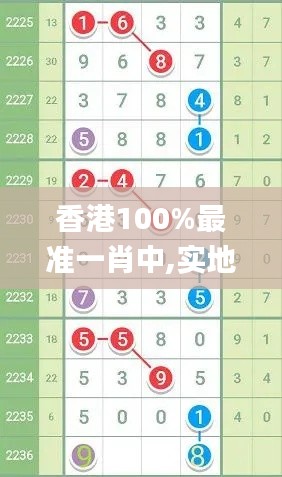 香港100%最准一肖中,实地验证数据应用_Prime4.562