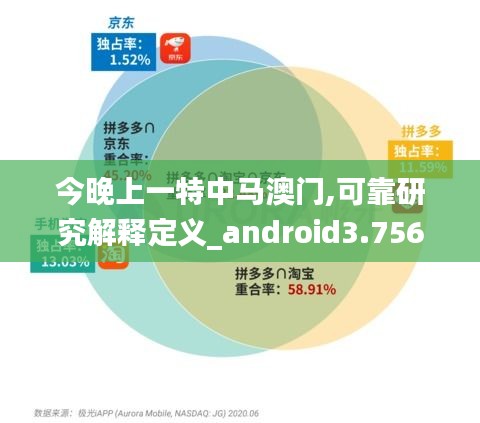 今晚上一特中马澳门,可靠研究解释定义_android3.756