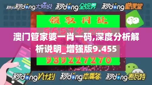 澳门管家婆一肖一码,深度分析解析说明_增强版9.455