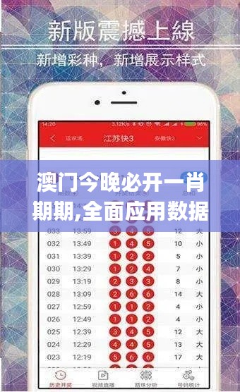 澳门今晚必开一肖期期,全面应用数据分析_开发版10.653