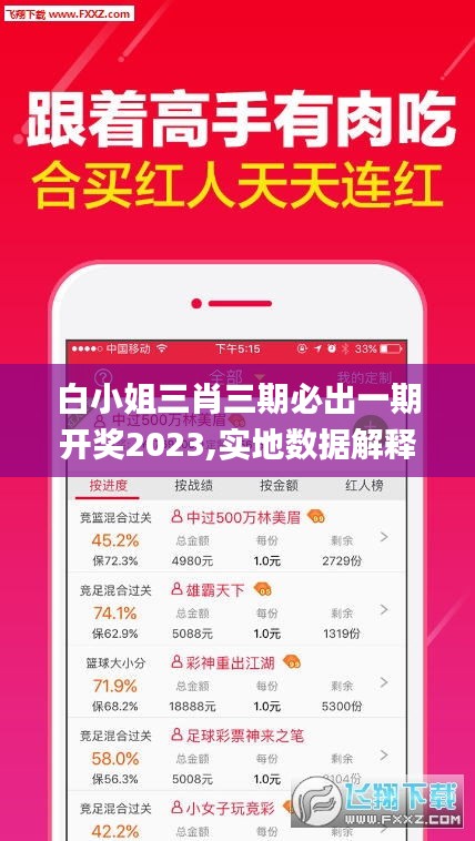 白小姐三肖三期必出一期开奖2023,实地数据解释定义_复古版2.905