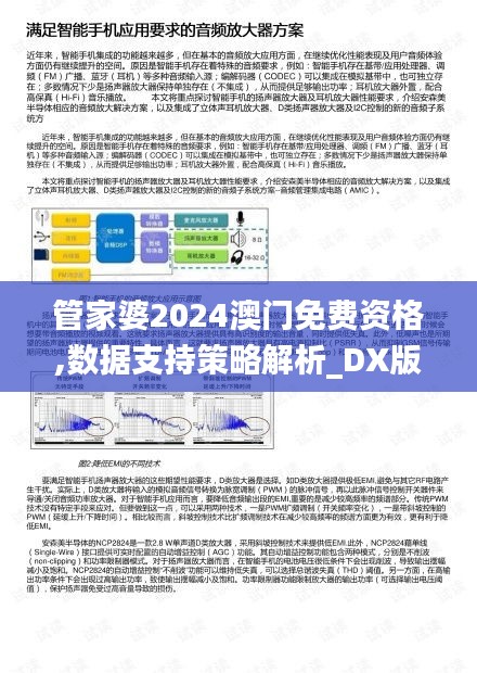 管家婆2024澳门免费资格,数据支持策略解析_DX版9.347