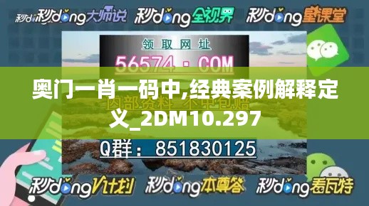 奥门一肖一码中,经典案例解释定义_2DM10.297