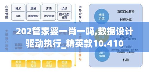 202管家婆一肖一吗,数据设计驱动执行_精英款10.410