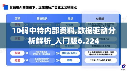 10码中特内部资料,数据驱动分析解析_入门版6.224