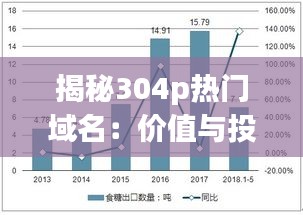 揭秘304p热门域名：价值与投资潜力分析