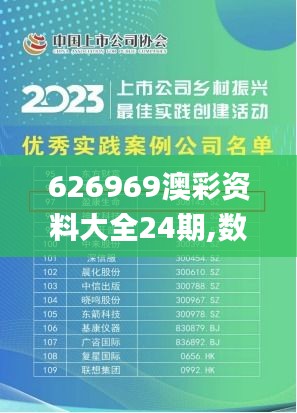 626969澳彩资料大全24期,数据驱动实施方案_Z8.838