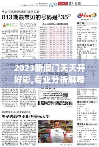 2023新澳门天天开好彩,专业分析解释定义_Deluxe9.770