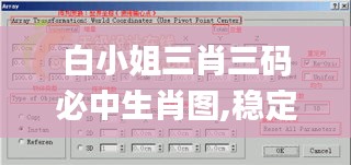 白小姐三肖三码必中生肖图,稳定性方案解析_Max2.968